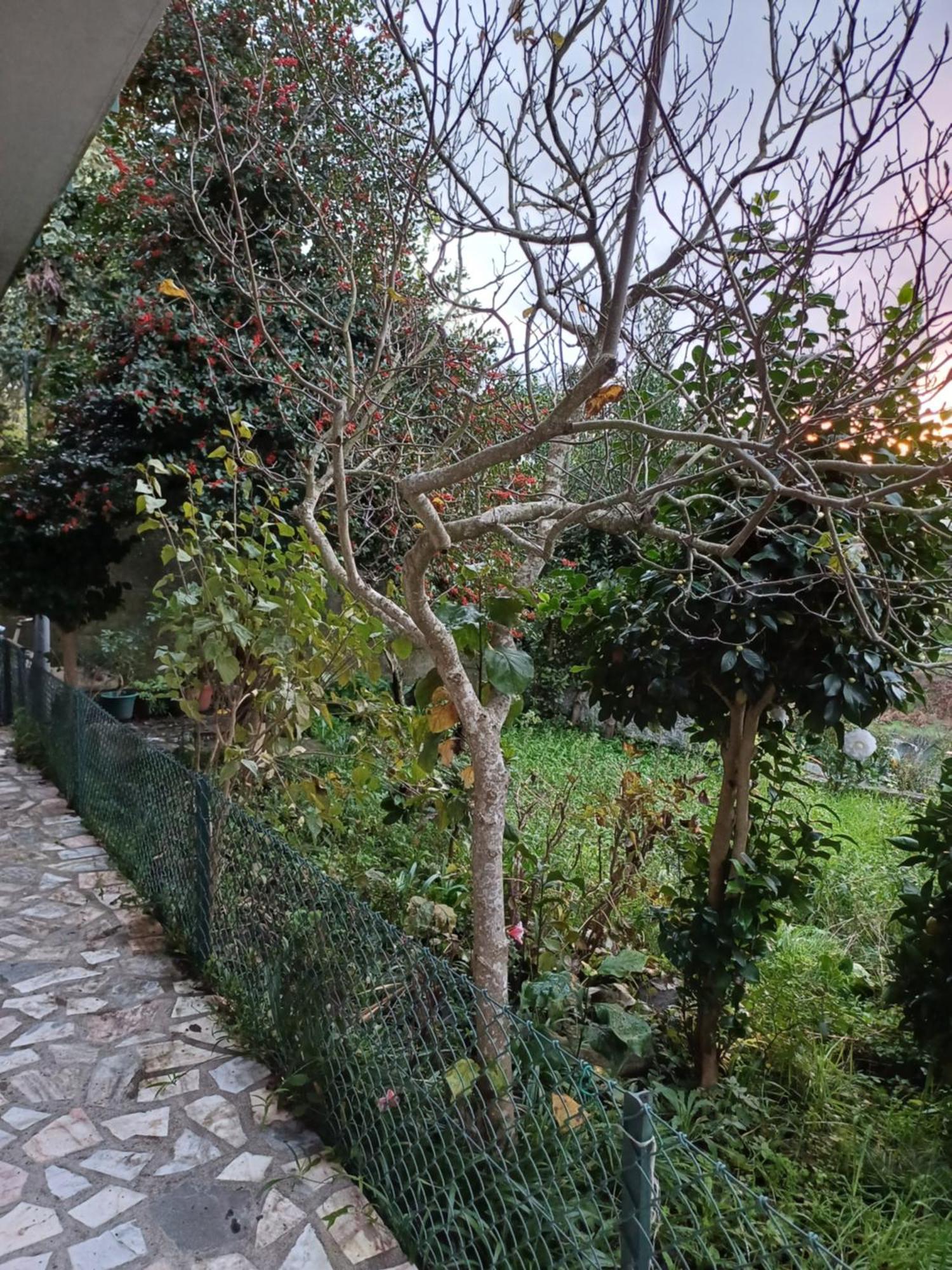 Amarante Residence Kültér fotó